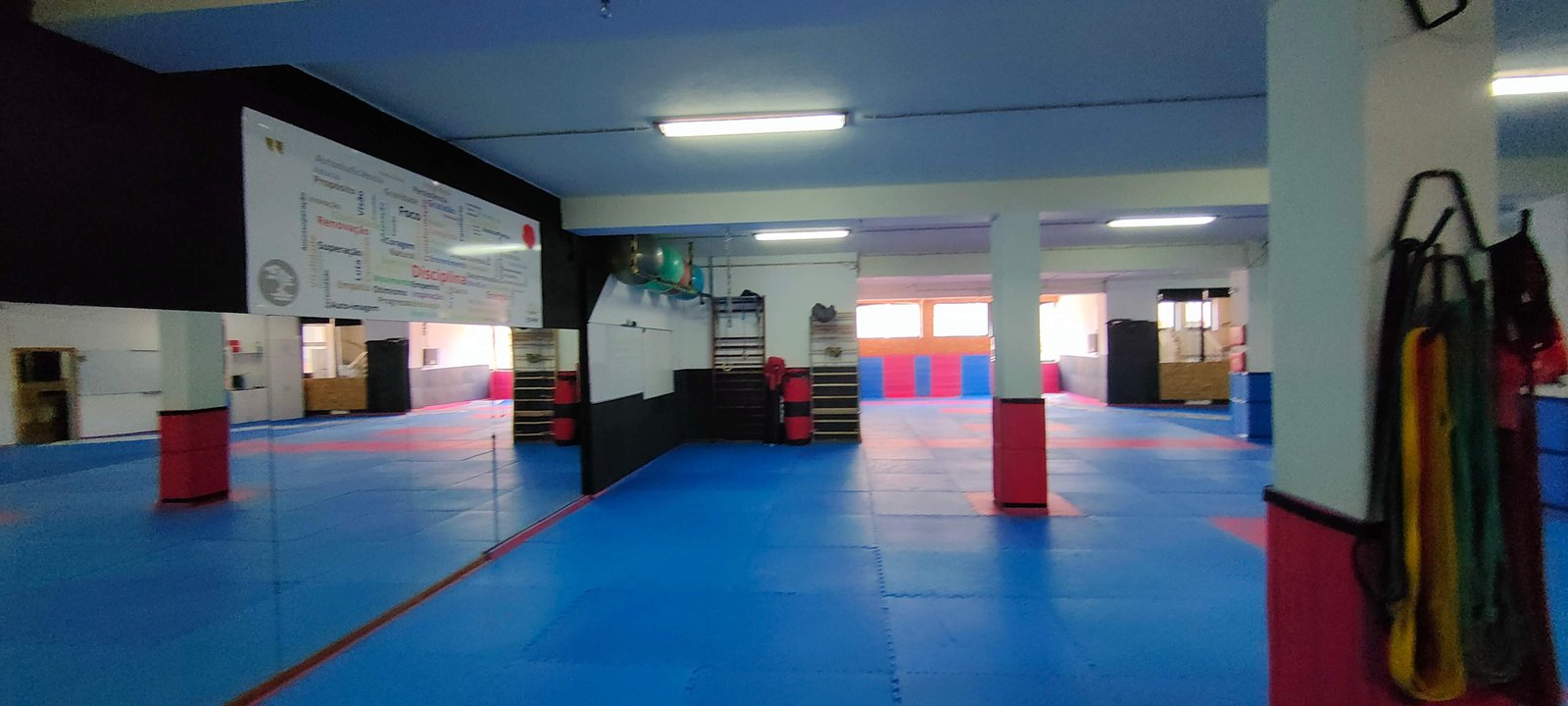 Dojo6